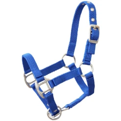 Helga Kreft Tuinpaardenset Tamme, Blauw -Buitenspeelgoed Winkel helga kreft tuinpaardenset tamme blauw a325389 4