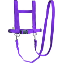 Helga Kreft Zügelmatz Paardenspeellijn, Paars -Buitenspeelgoed Winkel helga kreft zuegelmatz paardenspeellijn paars a334333 2