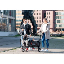 Pinolino Opvouwbare Bolderkar AddPlus Met Rem Grijs Gevlekt -Buitenspeelgoed Winkel pinolino opvouwbare bolderkar addplus met rem grijs gevlekt a309344 4